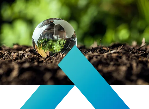 Sustainability-Image